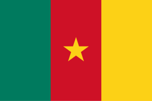 Drapeau Cameroun